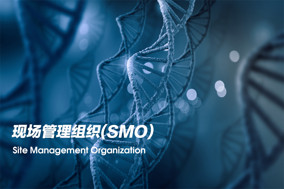 现场管理组织（Site Management Organization，，，，SMO）